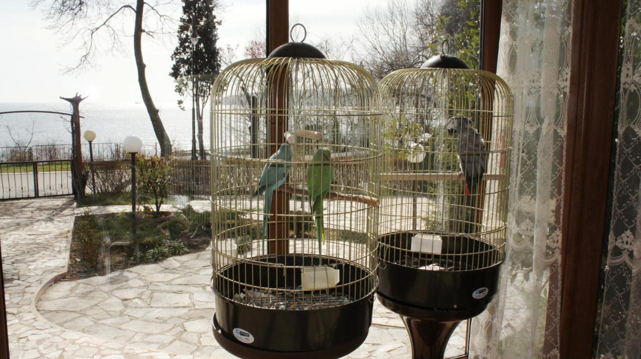 Villa The Garden Varna Exterior foto